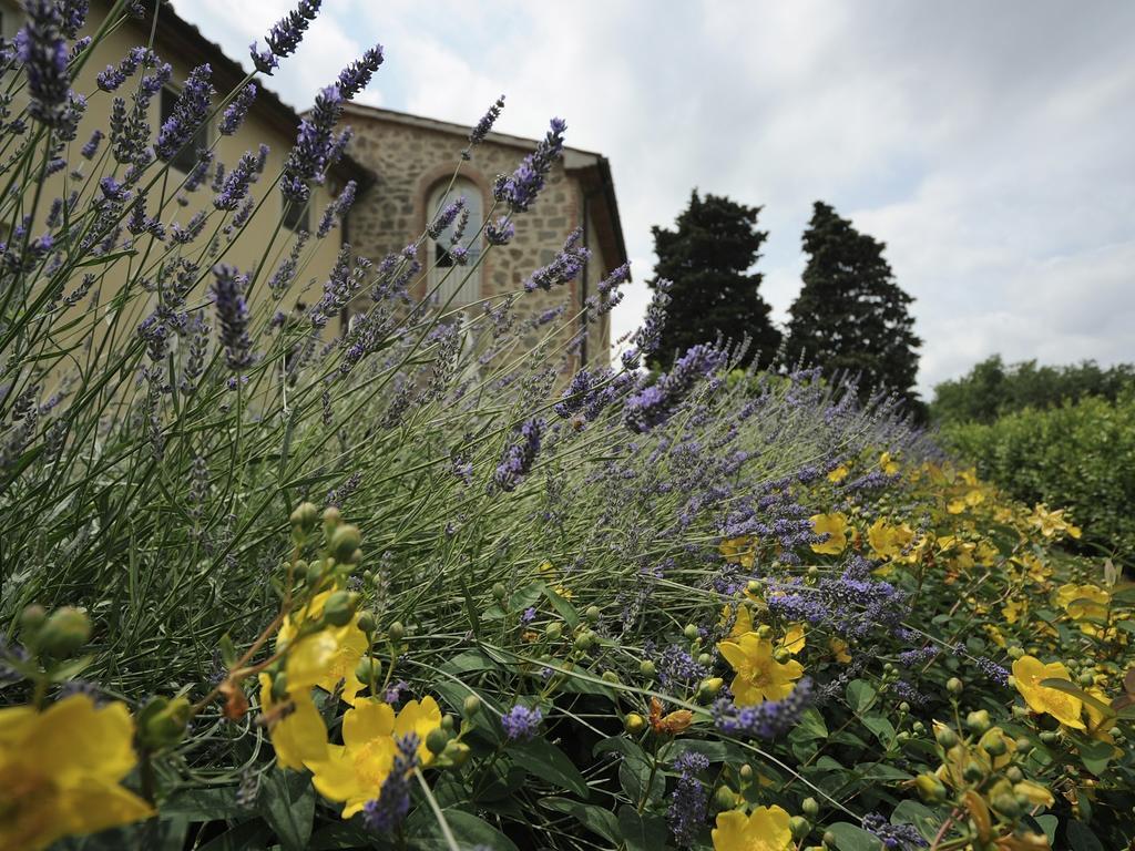 Cantagrillo Borgo Casalvento旅馆 外观 照片